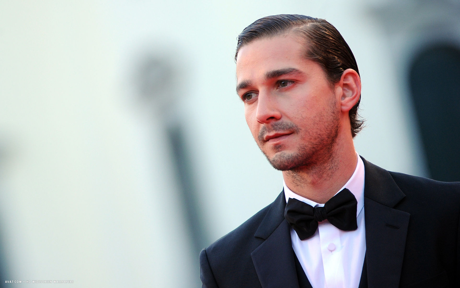 shia labeouf actor hd widescreen wallpaper