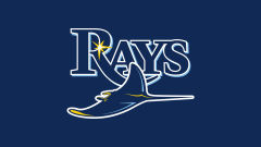 tampa bay rays wallpapers