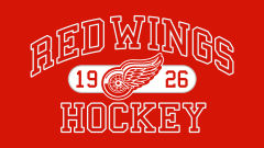 detroit red wings nfl hockey team