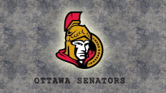ottawa senators nfl hockey team