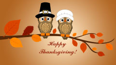 happy thanksgiving two owls branch leaves vector holiday