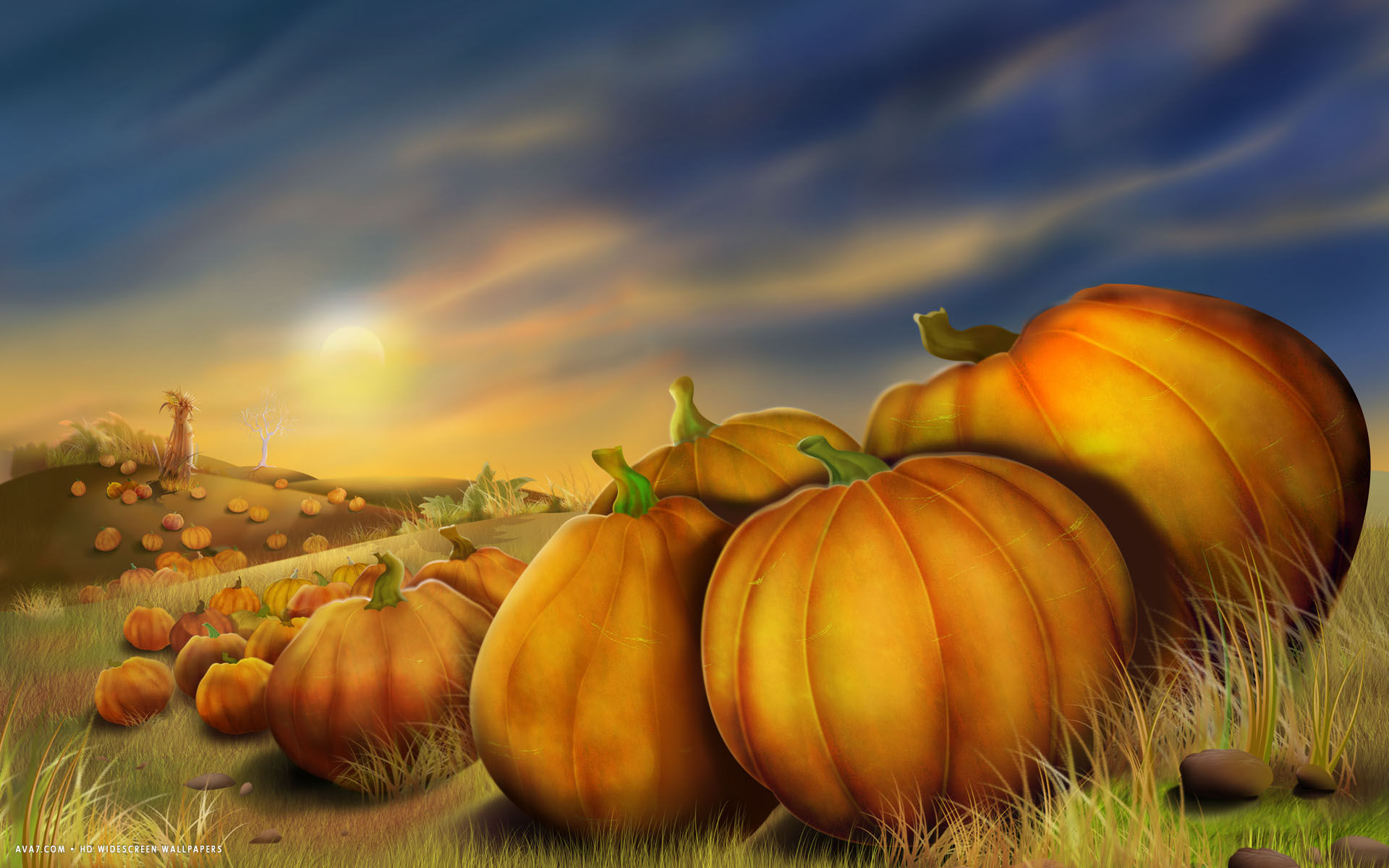 thanksgiving day pumpkins field autumn painting holiday hd widescreen wallpaper