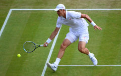 tomas berdych wallpapers